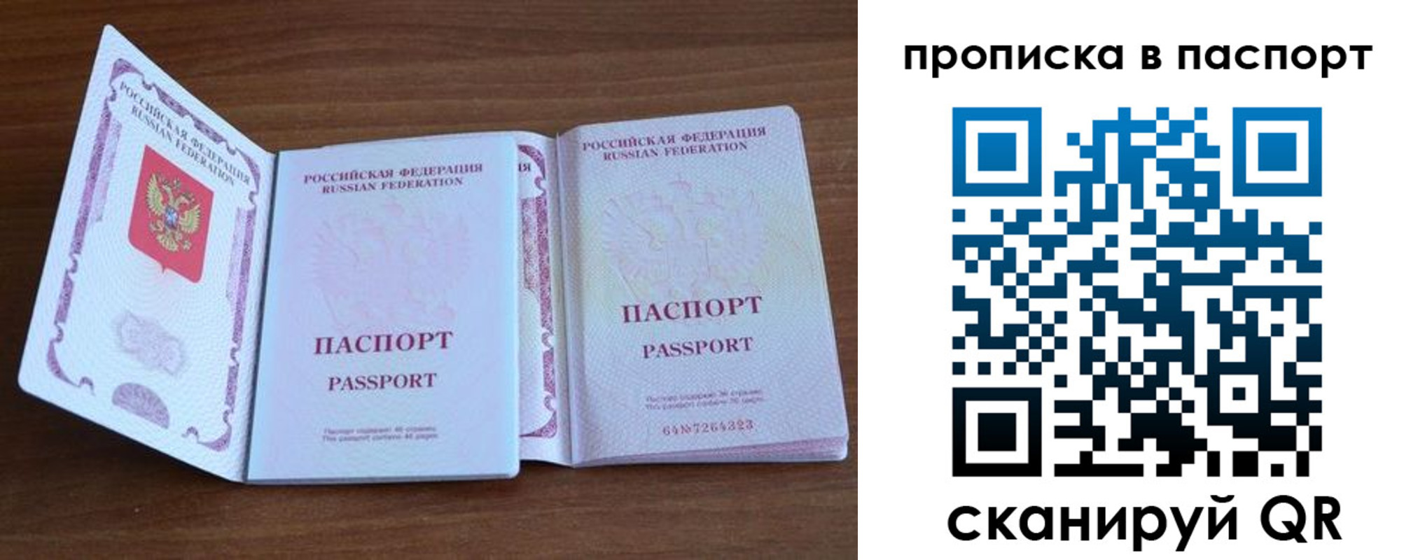 временная регистрация поиск в Курганской области
